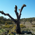 2009_portugal 234